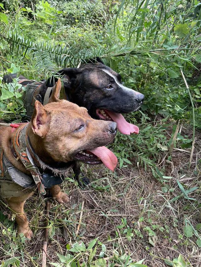 _20220625083124 _20220625083124