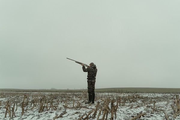 20230617 2 20230617 2