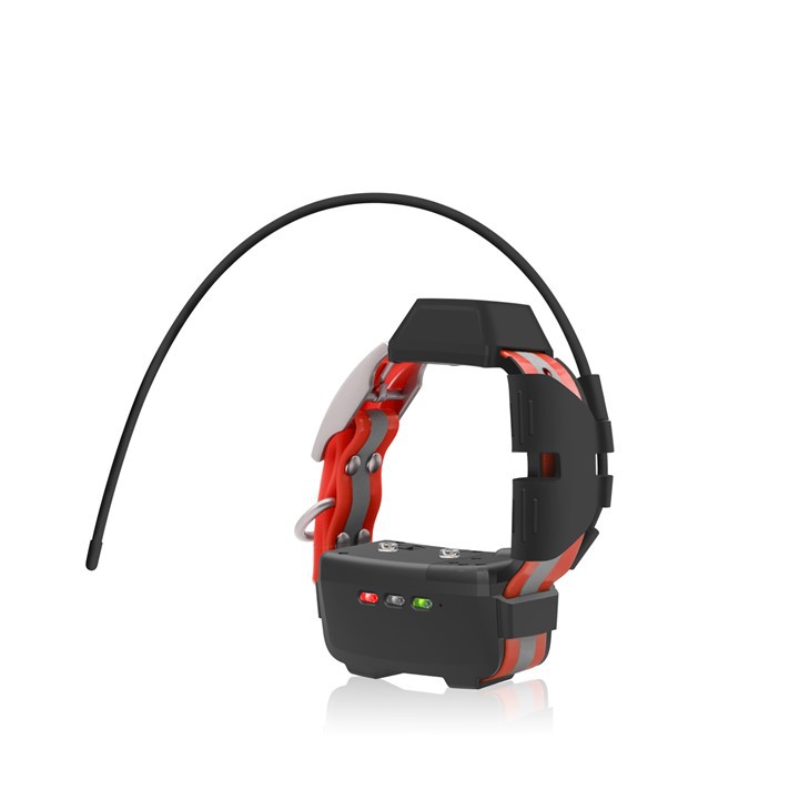 미니 GPS 개 목걸이